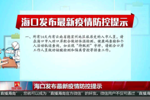 海口官网疫情通告，权威信息发布与市民应对指南