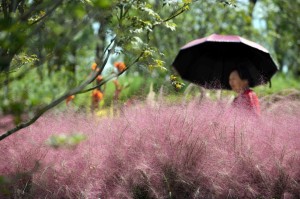 北京接种的疫苗在陕西查不到？跨省疫苗接种信息互通问题引关注