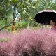 北京接种的疫苗在陕西查不到？跨省疫苗接种信息互通问题引关注