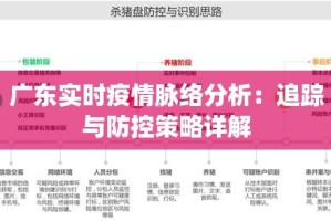 广西对广州疫情政策的协同与应对，区域联防联控的实践与挑战