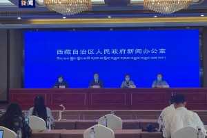 西藏与武汉携手防疫，共筑防疫长城