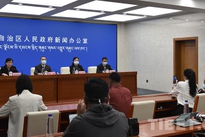 西藏自治区与南昌防疫措施对比，两地疫情政策最新动态及影响分析