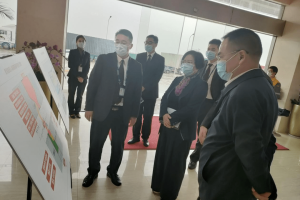浙江省疫情防控情况与福州最新动态分析
