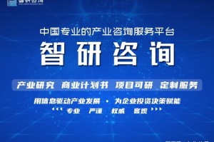 河南省疫情控制，成效、挑战与未来展望