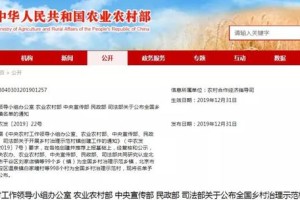 从上海到呼和浩特，疫情治理中的地方经验与国家逻辑