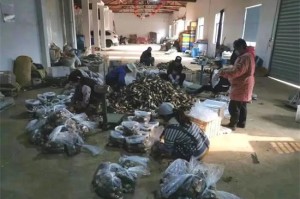 北京到杭州疫情防控要求，全面指南与出行建议