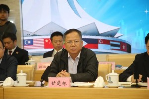 广西壮族自治区疾病防控现状与挑战