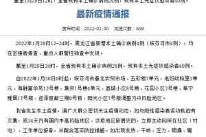 黑龙江省新增新冠病例，防控形势与应对策略