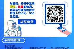 浙江省疫情防控官网，权威信息平台与高效防控指南