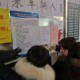 疫情最新动态，北京防控升级，西宁紧急应对，两地最新消息汇总