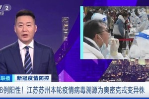 浙江省疫情通报，最新动态与防控措施分析