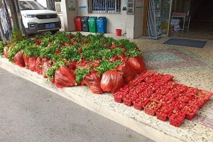 河南省疫情指挥部发布最新通告，长沙防控措施同步升级引关注