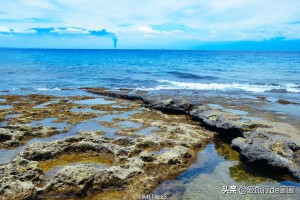 台湾地震，直播下的地壳脉动与民众应对