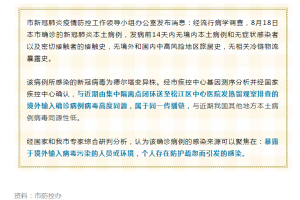 香港疫情溯源，本地传播与输入病例的博弈