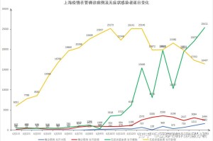 上海市疫情管控，挑战、策略与未来展望