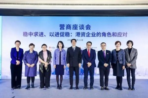香港特别行政区驻上海办事处官网，促进沪港合作的重要桥梁