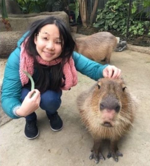 台湾地震女孩救猫死亡，灾难中的无私与悲剧