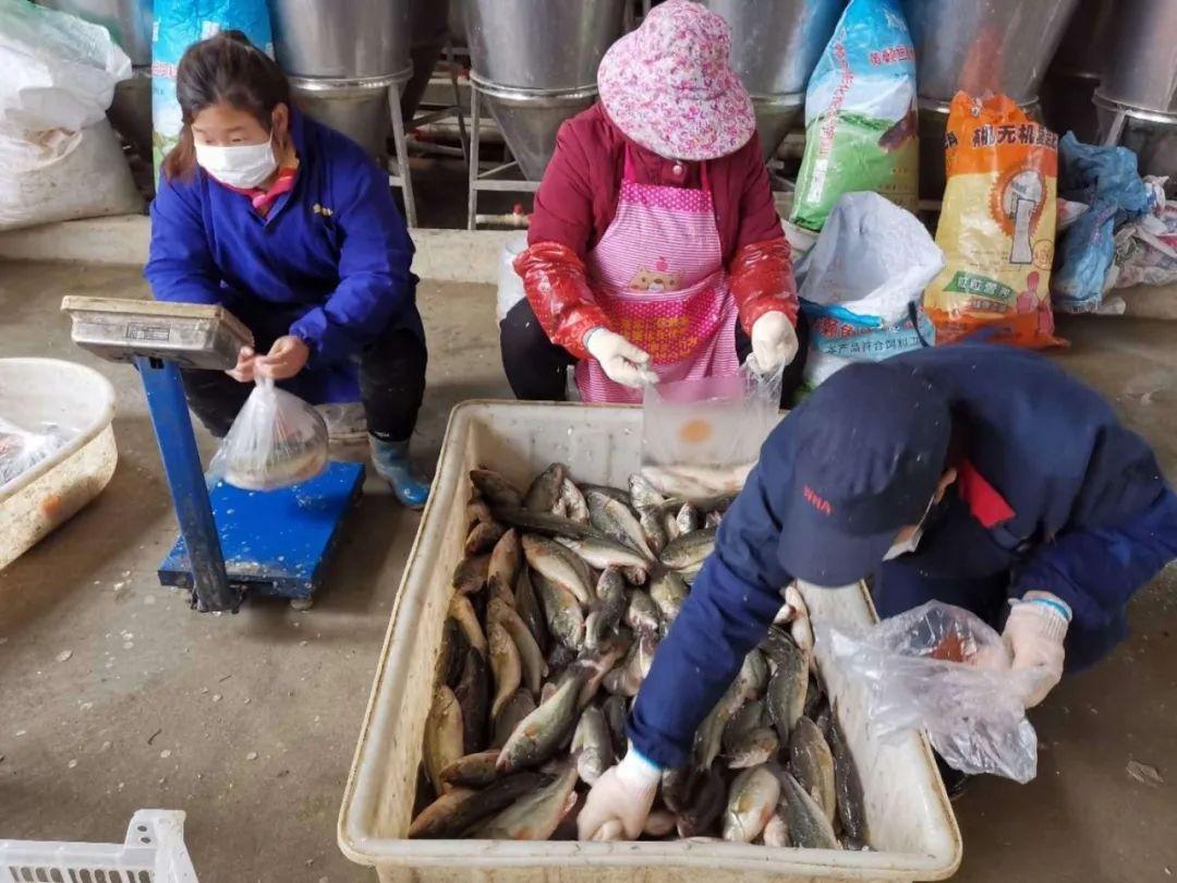 疫情之下长沙配送公司的挑战与机遇