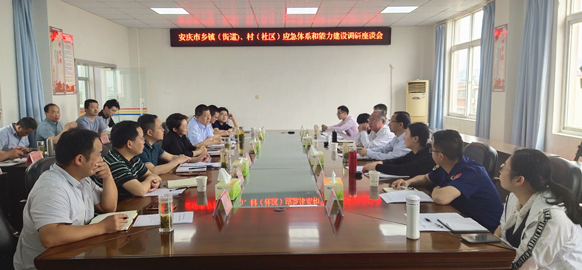 安徽省合肥市疫情下的挑战与应对策略