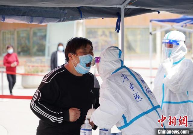 青海省疫情管控与石家庄最新动态，共筑防线，守护家园