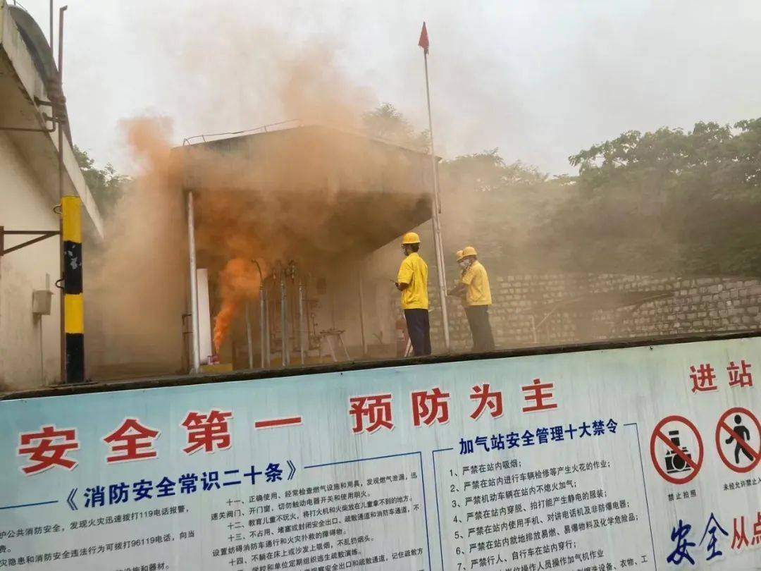 重庆市疫情报告与广州最新消息，共筑防线，守护家园