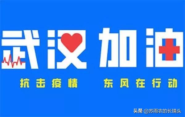 2020年长春封城时间探秘