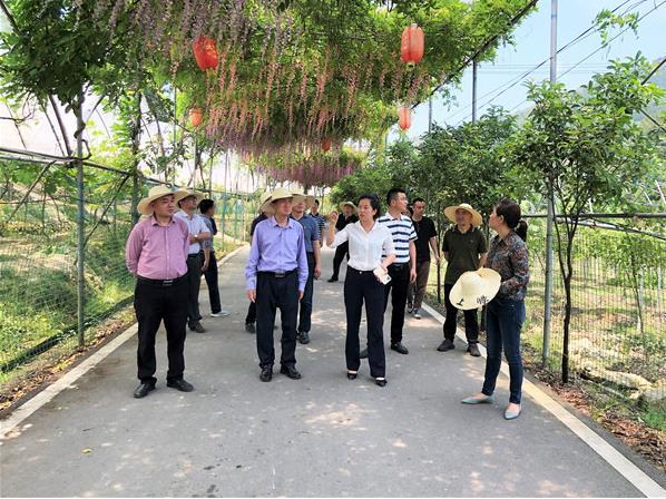福建疫情对北京的影响，隔离下的联动与防控