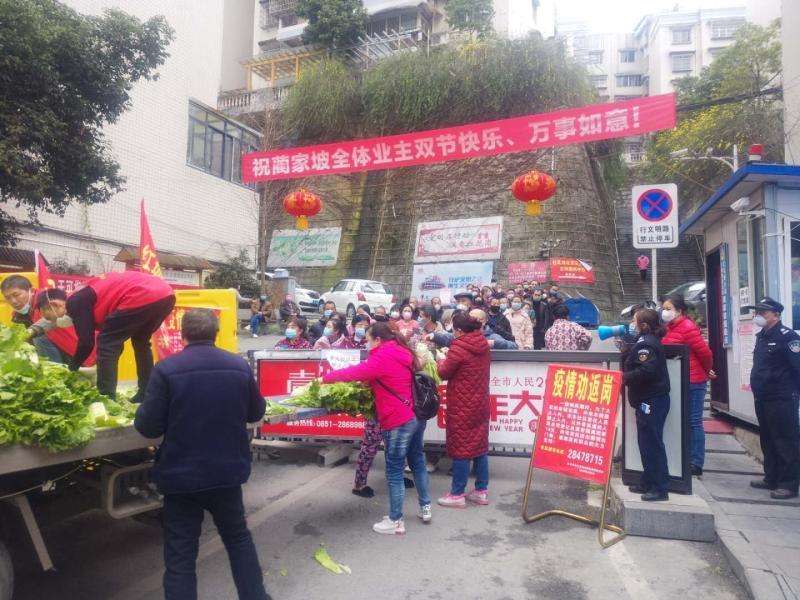 贵州省疫情与成都最新消息，双城抗疫纪实与未来展望