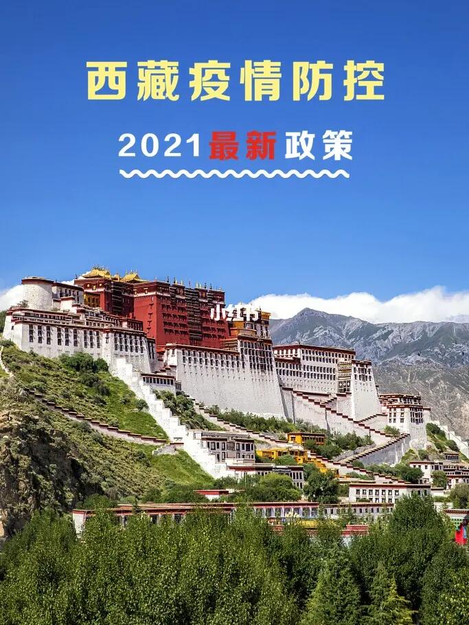 拉萨防疫政策查询指南，全面了解最新防疫措施与出行建议