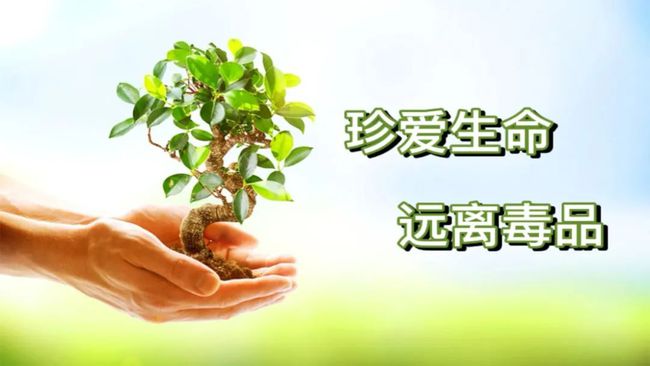 上海新冠疫情概况 南昌天气
