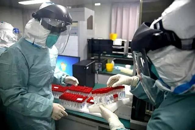 石家庄疫情管控办公室电话及防疫指南