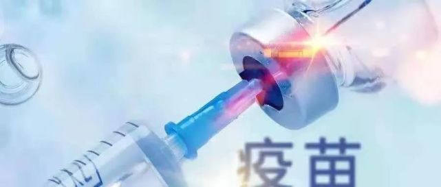 香港疫情控制现状，成效、挑战与未来展望