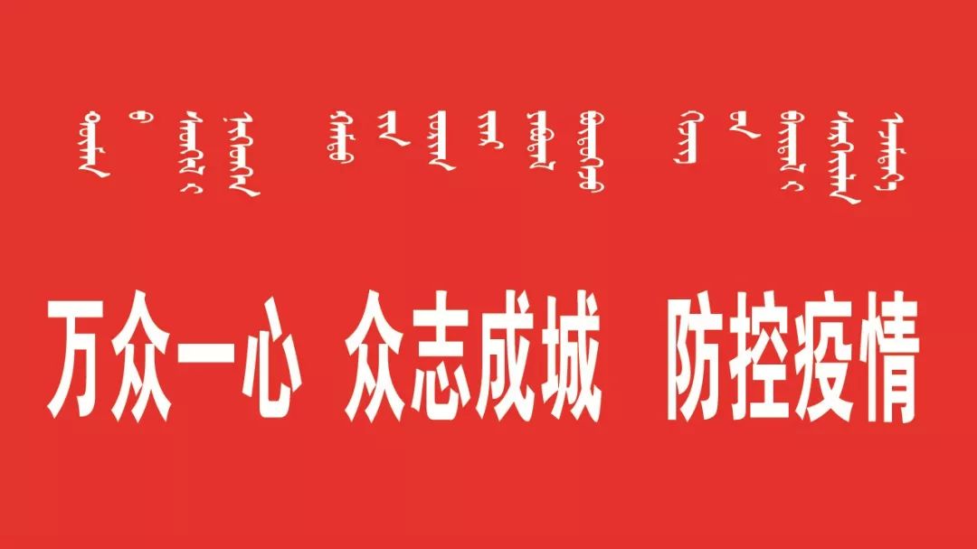 宁夏回族自治区防疫工作，筑牢健康防线，守护人民安全
