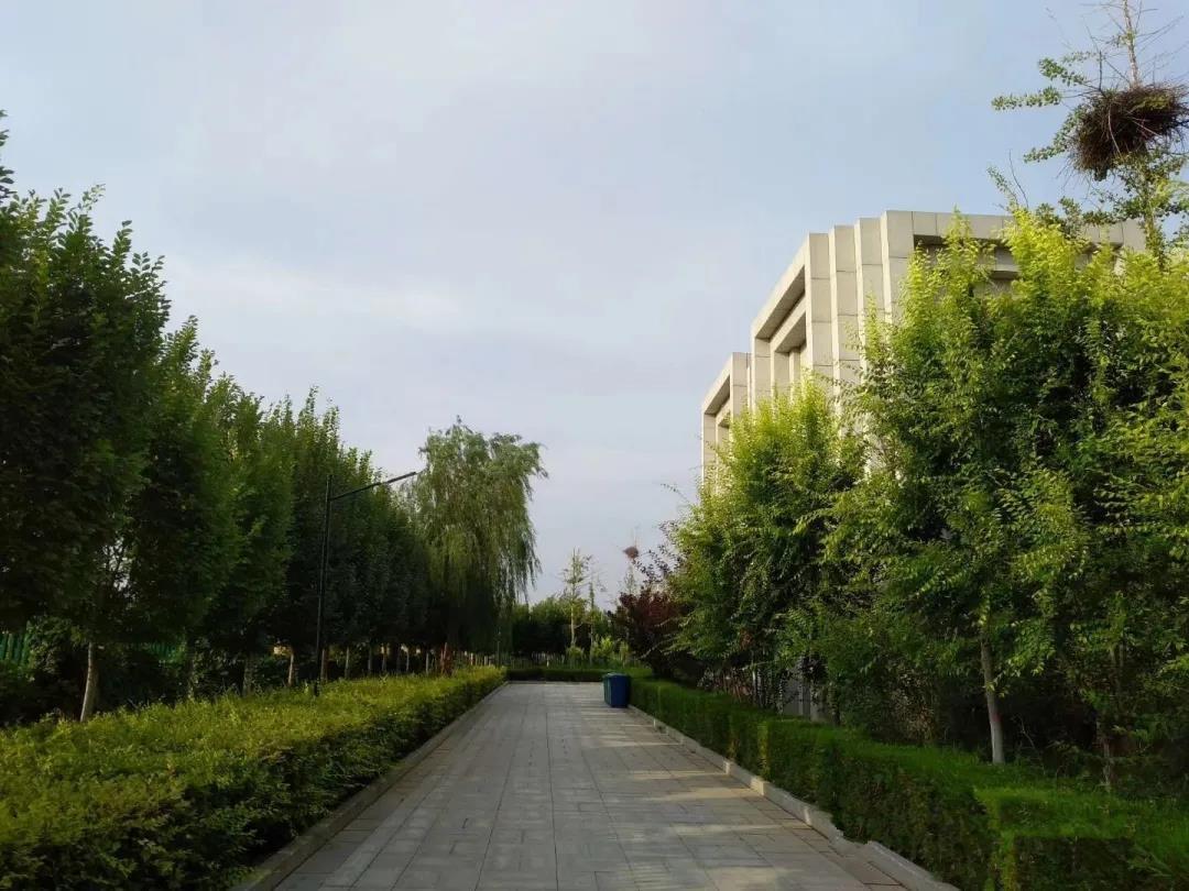 南京疫情波及银川，跨区域防控的挑战与应对