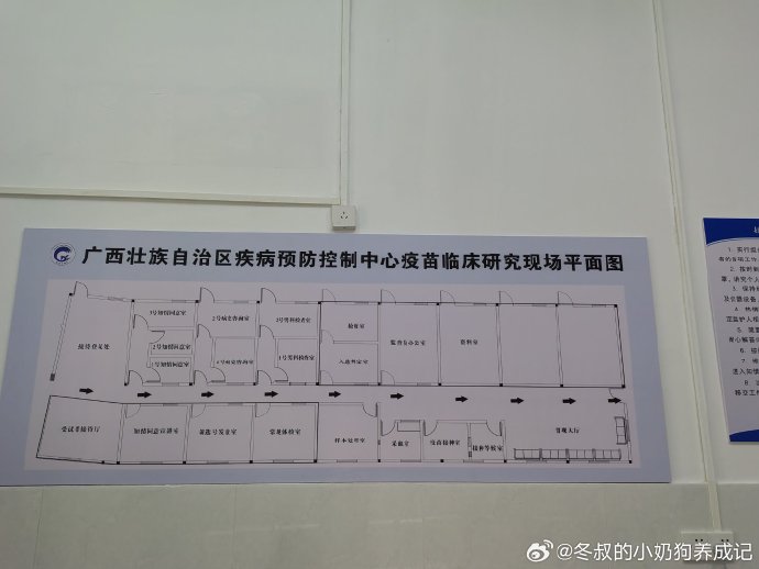 广西壮族自治区防疫指挥部电话，守护健康的重要纽带