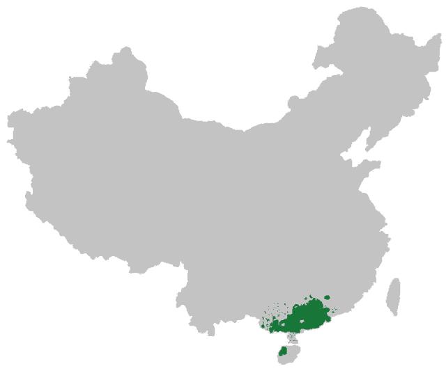 广西人去澳门要隔多久？最新政策与注意事项详解