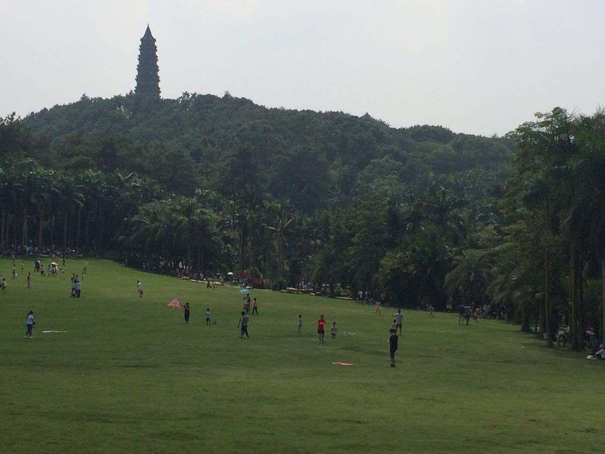 广西壮族自治区的首府是哪个城市？