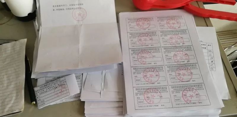 澳门地区疫情趋稳与上海最新防疫政策调整，双城抗疫经验与启示