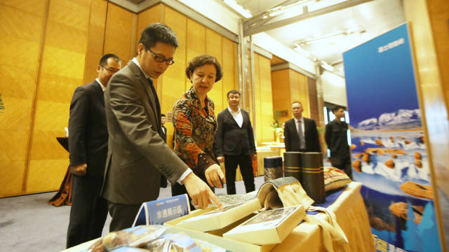 近期澳门与新疆的互动，文化交流与经济合作的崭新篇章