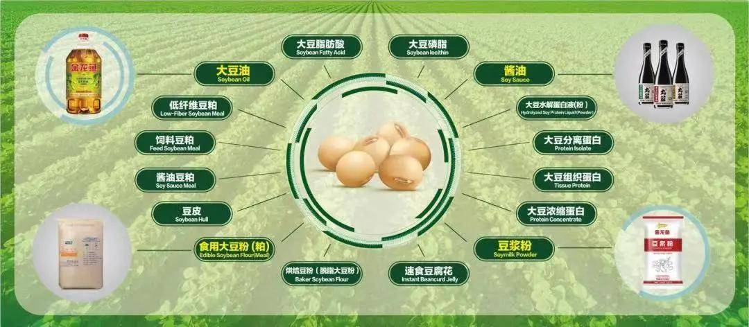 河南疫情与南京疫情是否存在关联？深度解析两地疫情传播链