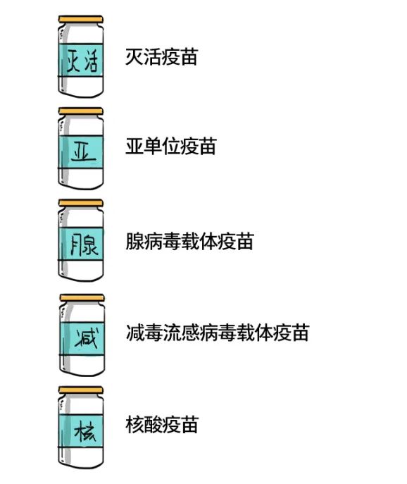 北京疫苗都一样吗？全面解析北京新冠疫苗的种类与差异