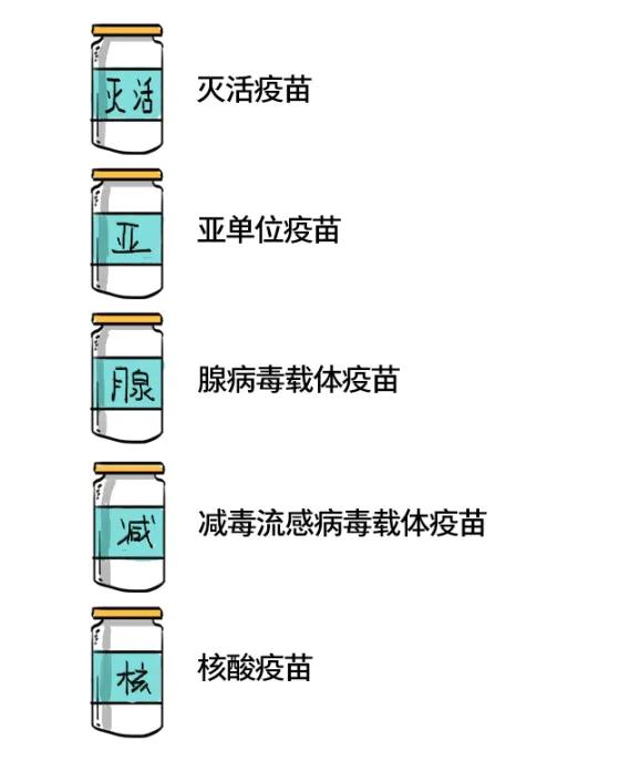 安徽疫苗与北京疫苗的区别，全面解析两种国产疫苗的特点