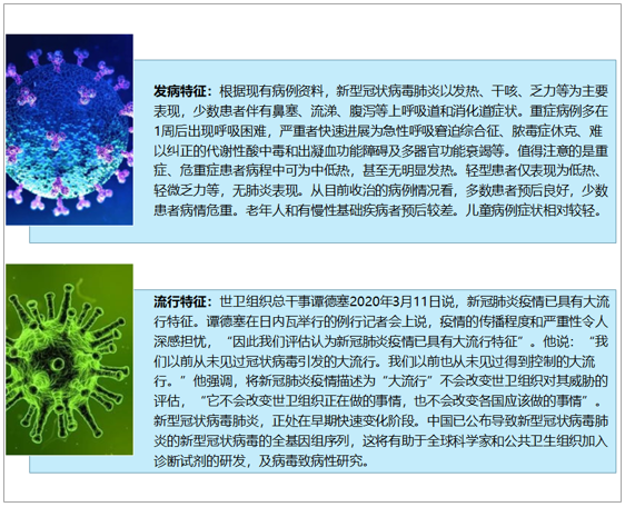 香港疫情风险等级评估与海口病毒防控策略分析