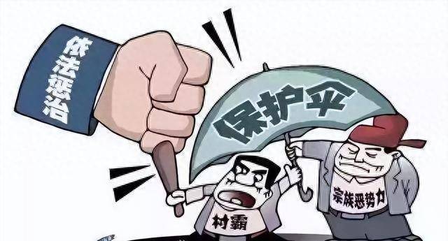 石家庄一村支书被指控，权力滥用与基层治理的困境