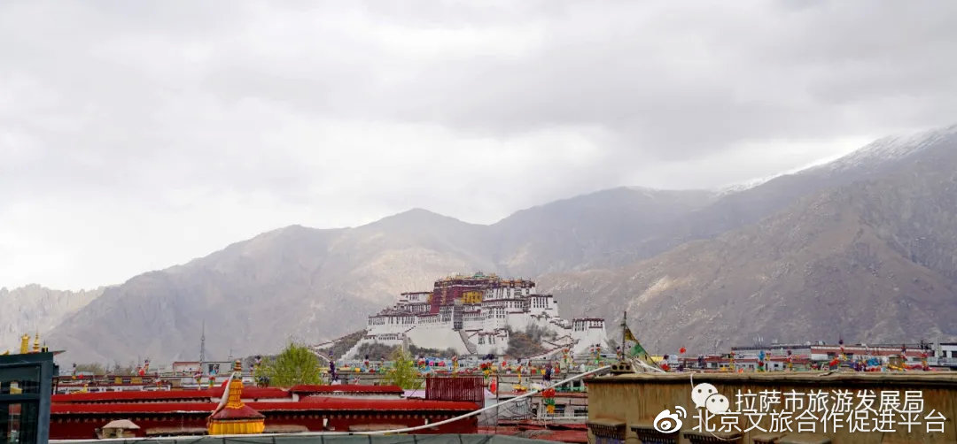 西藏对北京隔离政策的影响与应对措施