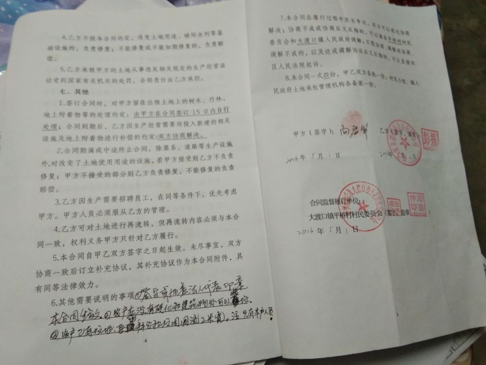 北京市村委会投诉电话，如何有效反映问题与维护权益
