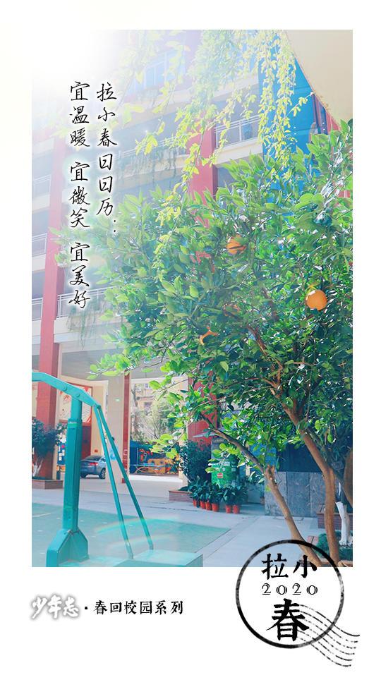 北京进拉萨防疫政策，最新规定与出行指南