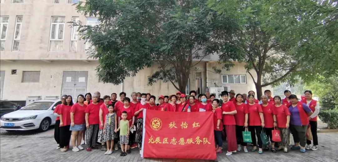 天津村委会电话，基层治理的连心桥与便民服务新探索