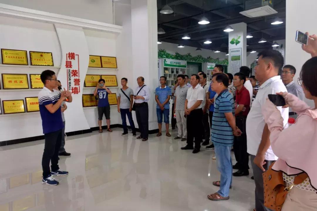 北京的村书记是什么行政级别？解析村级干部的行政地位与职责