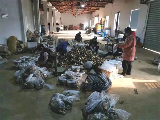 北京到杭州疫情防控要求，全面指南与出行建议